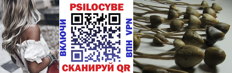 Псилоцибиновые грибы MAGIC MUSHROOMS  Новосиль 